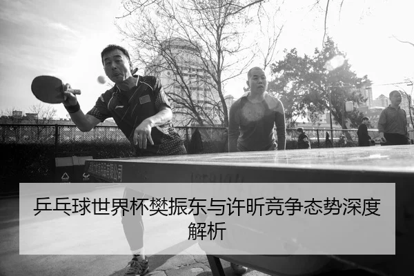 乒乓球世界杯樊振东与许昕竞争态势深度解析
